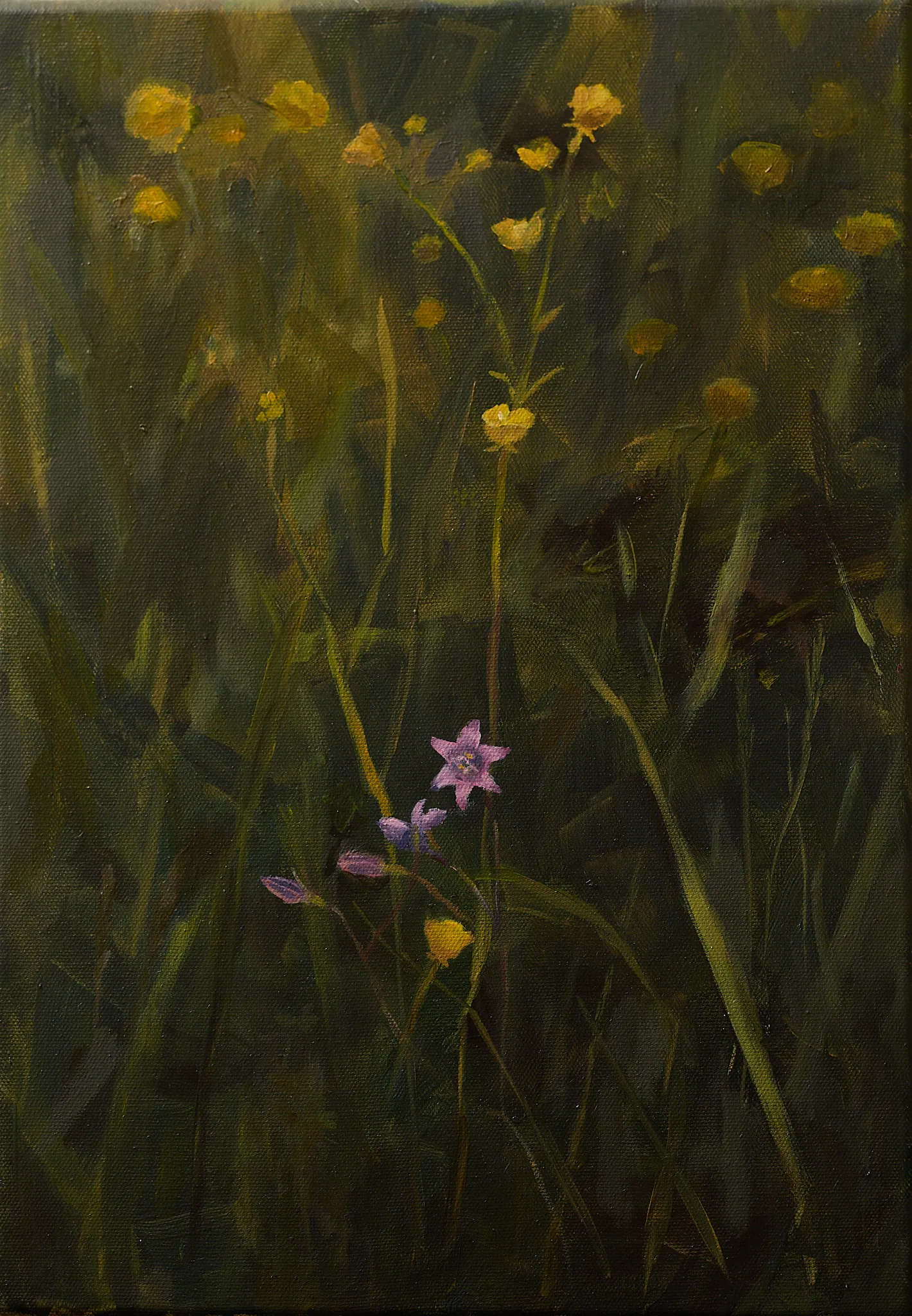 Wiesenglockenblume in der Hahnenfußwiese – Ölgemälde von Wolfram Hölzel. Wildblumen in dunklem Wiesengrün, Öl auf Leinwand, 2026.